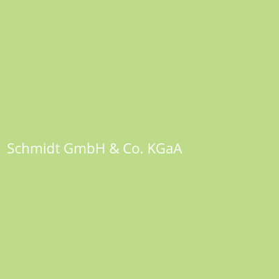 Schmidt GmbH & Co. KGaA