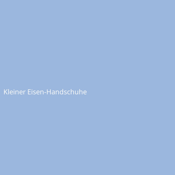 Kleiner Eisen-Handschuhe