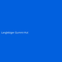 Langlebiger Gummi-Hut