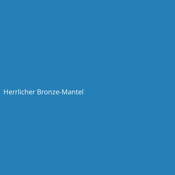 Herrlicher Bronze-Mantel