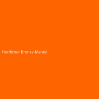 Herrlicher Bronze-Mantel