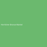 Herrlicher Bronze-Mantel